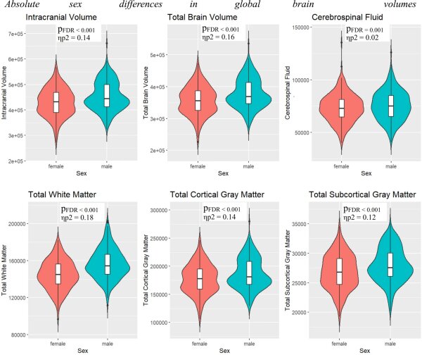 Половые различия в структуре мозга присутствуют при рождении