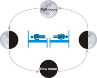 Связь лунного цикла со сном у мужчин и женщин