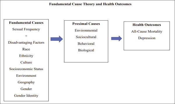 Теория фундаментальных причин и последствия для сексуального здоровья.