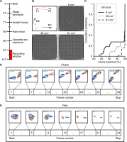 Рис. 1. Методы машинного обучения для отслеживания особей и определения поведения. <br>(A) Экспериментальная временная шкала. Цифры обозначают постнатальные дни. (B) Индивидуальные мыши, различающиеся по характерному рисунку меха, отслеживались на большой арене (ширина = 76,2 см, длина = 76,2 см, высота = 61 см) с помощью автоматизированного программного обеспечения. Траектории показывают движение в течение 1 с. M1 = самец 1, M2 = самец 2, F1 = самка 1, F2 = самка 2. Масштабная линейка (голубая) соответствует 10 см. Траектория M2 во время 5-часовой записи, наложенная на сетки размером 9 см², 36 см² и 81 см². (C) Графики кумулятивной вероятности, количественно определяющие процент арены, исследованной мышами. (D) Экземпляр для преследования. Самцы-агрессоры преследовали (выделено оранжевым), в то время как самцы, подвергшиеся агрессии, подвергались преследованию (выделено синим). (E) Пример бегства. Самцы-агрессоры убегали (выделено оранжевым), в то время как самцы, подвергшиеся агрессии, убегали (выделено синим). Числовые значения для рис. 1C доступны в виде онлайн-файла (данные S1). Исходные данные можно найти в наборах данных S1–S12. Скрыть