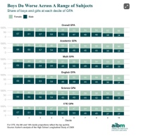 Мальчики показывают худшие результаты по целому ряду предметов<br>American Institute for Boys and Men