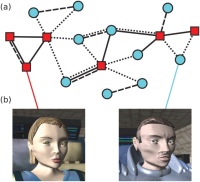 Сети контактов мужчин и женщин в социальных сетяю