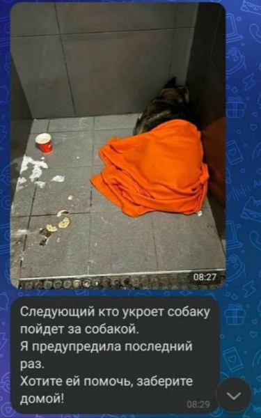 Сообщение руководиельницы о запрете укрывать Додобони