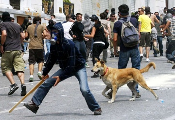 Тодорис на протесте